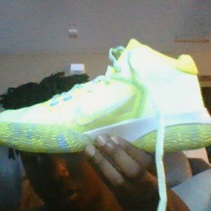 Kyrie 4s Flytraps